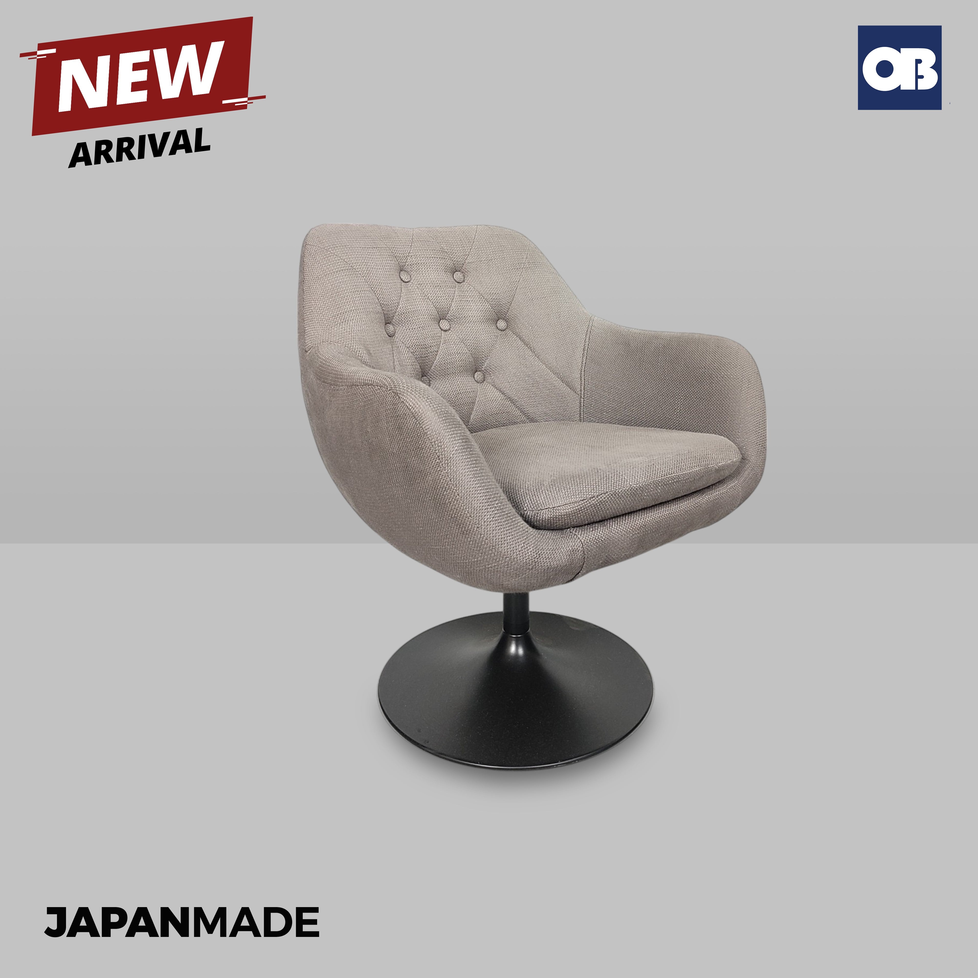 Japan Meeting Chair
