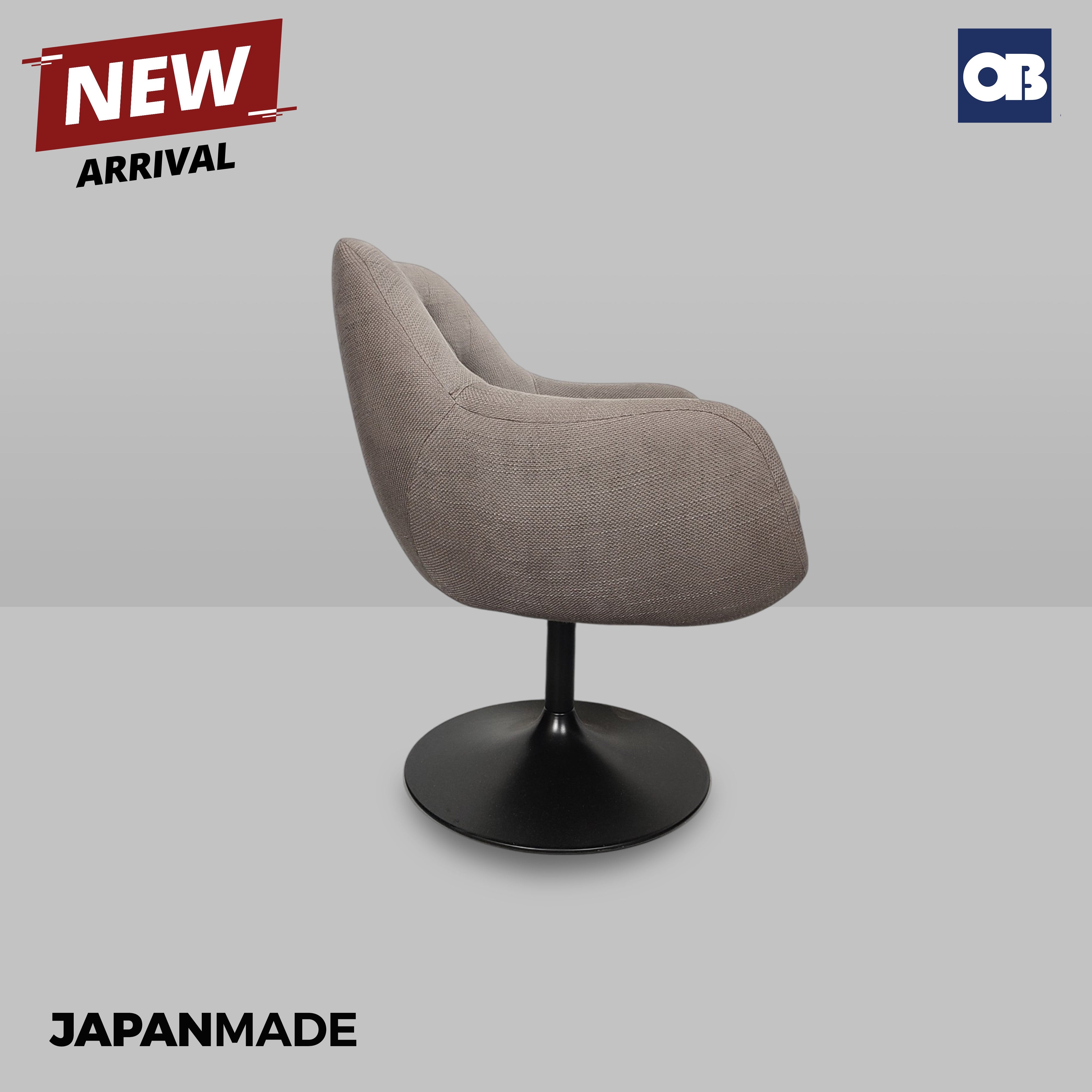 Japan Meeting Chair