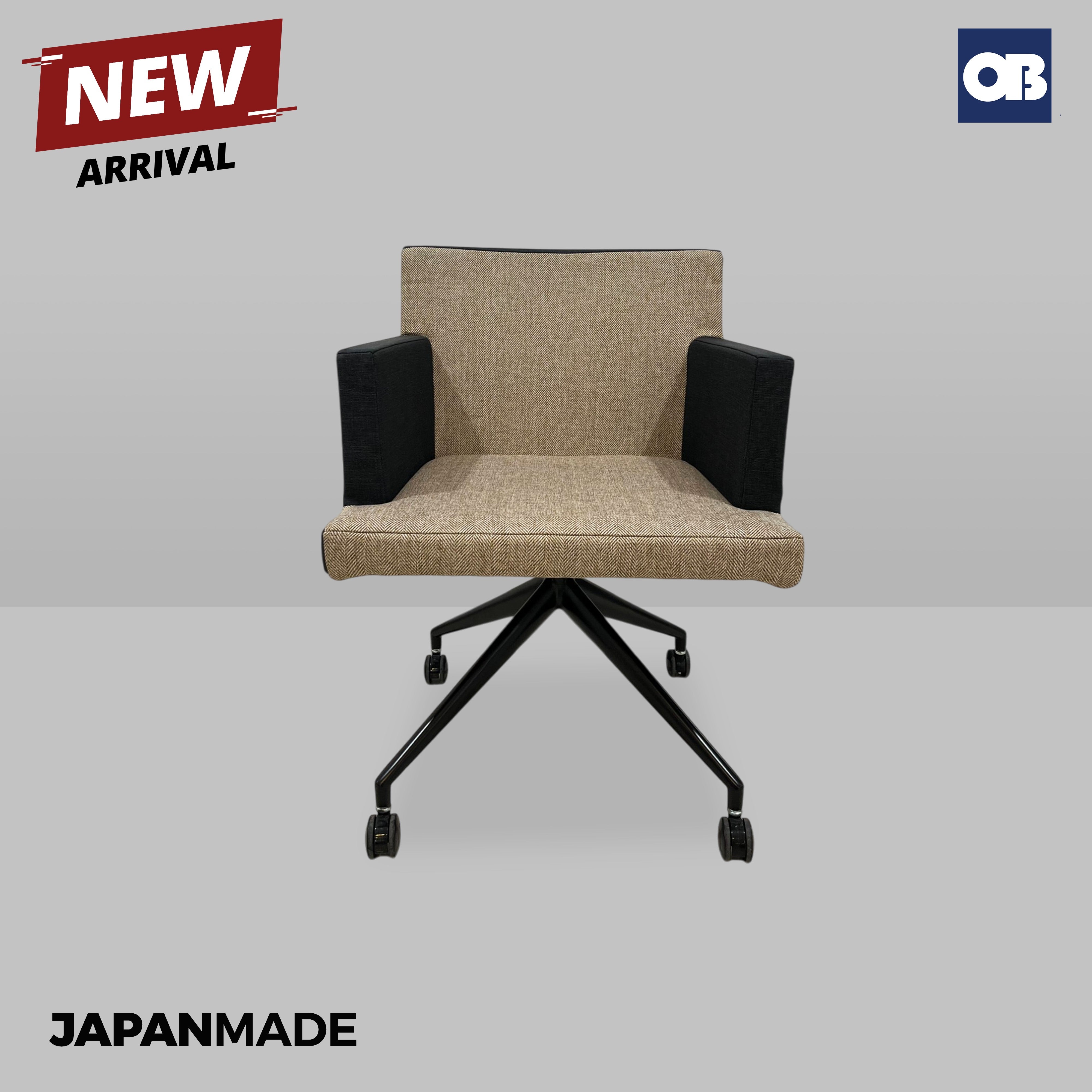 Japan Meeting Chair