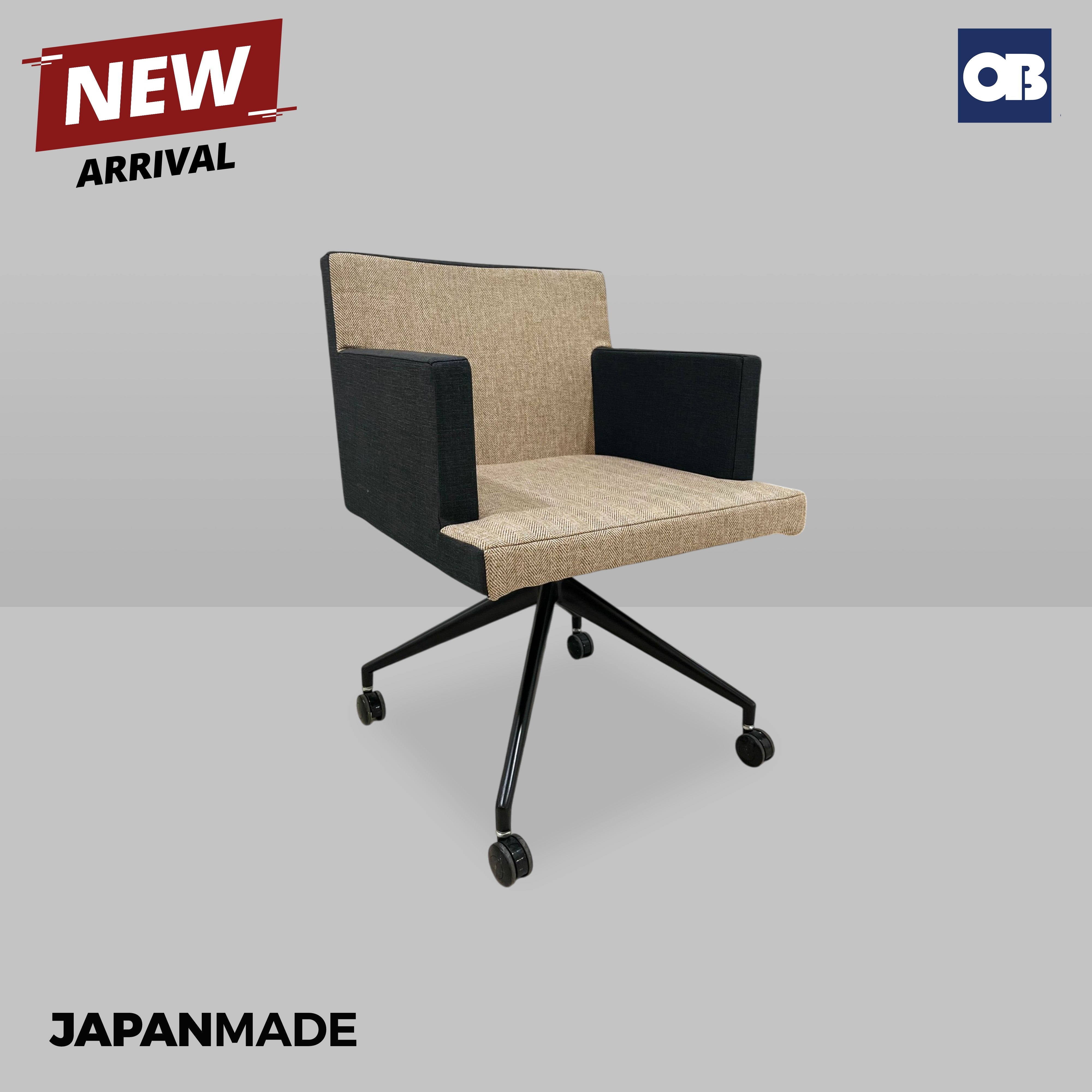 Japan Meeting Chair