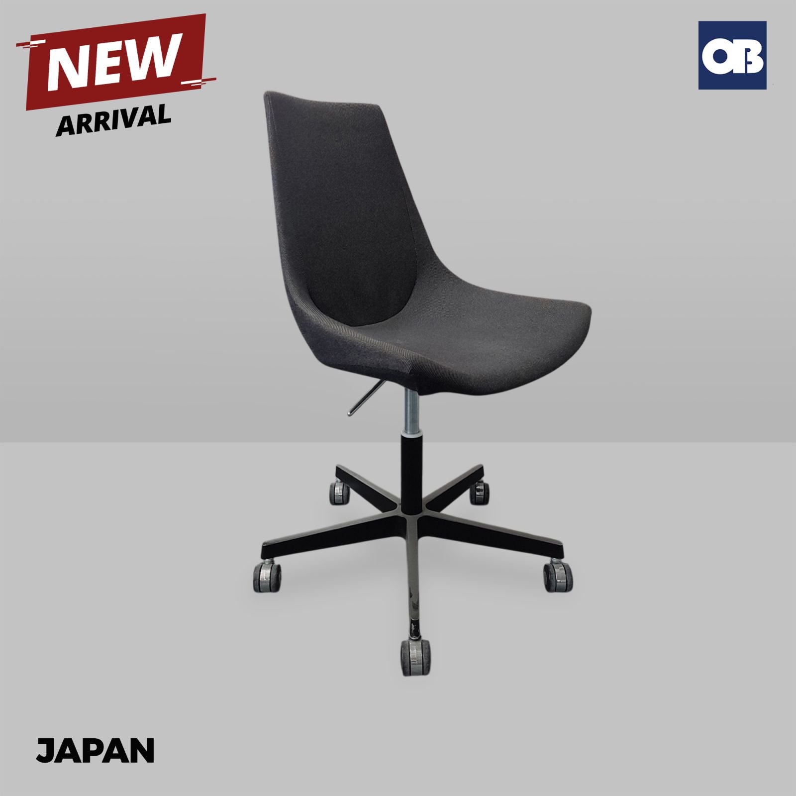 Japan Meeting Chair