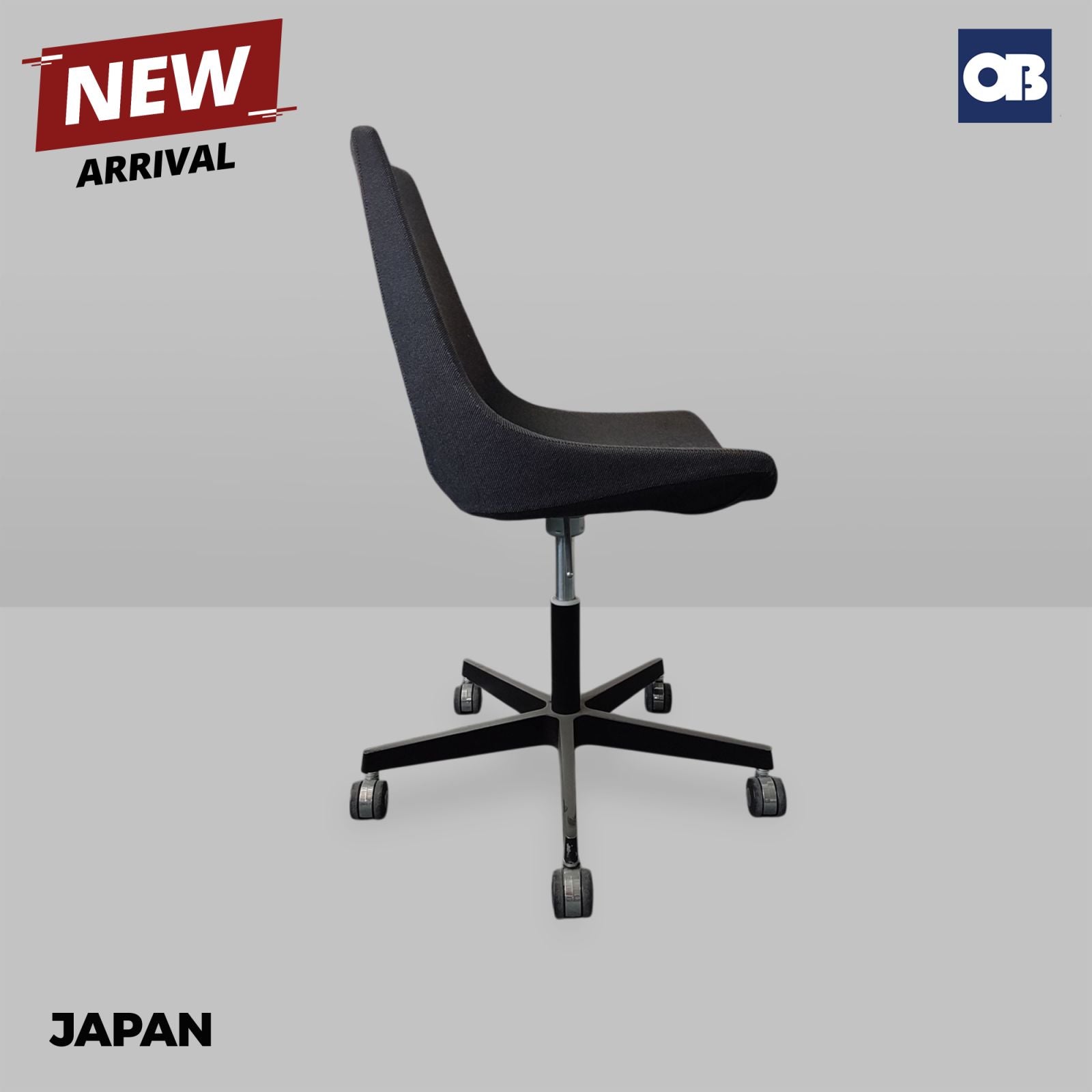 Japan Meeting Chair
